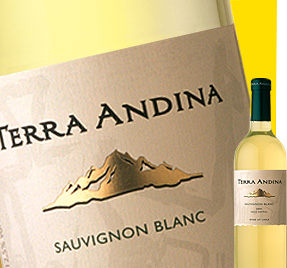 terra-andina-sauvignon-blanc Terra Andina Sauvignon Blanc
