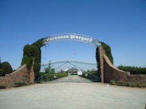 The gates at Concannon Vineyards