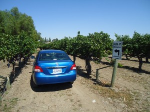The parking lot at Retzlaff Vineyards The parking lot at Retzlaff Vineyards