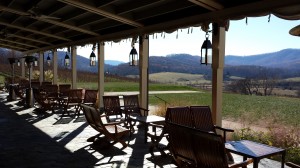 Looking out from the Pippin Hill Patio