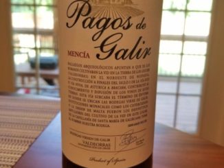 Image of a bottle of 2016 Pagos de Galir Mencia