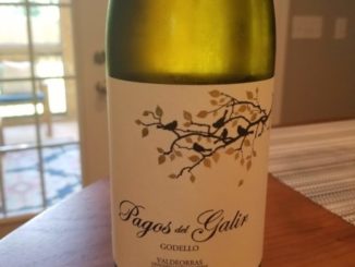 Image of a bottle of 2017 Pagos de Galir Godello