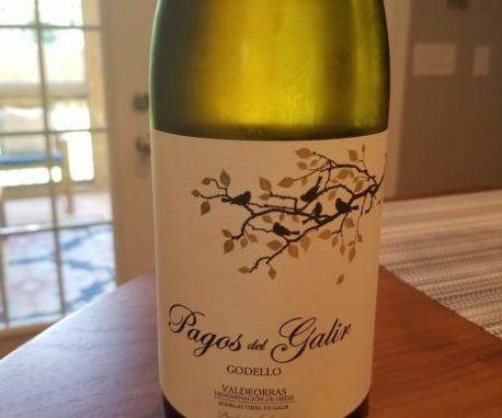 20190721_133143 Image of a bottle of 2017 Pagos de Galir Godello
